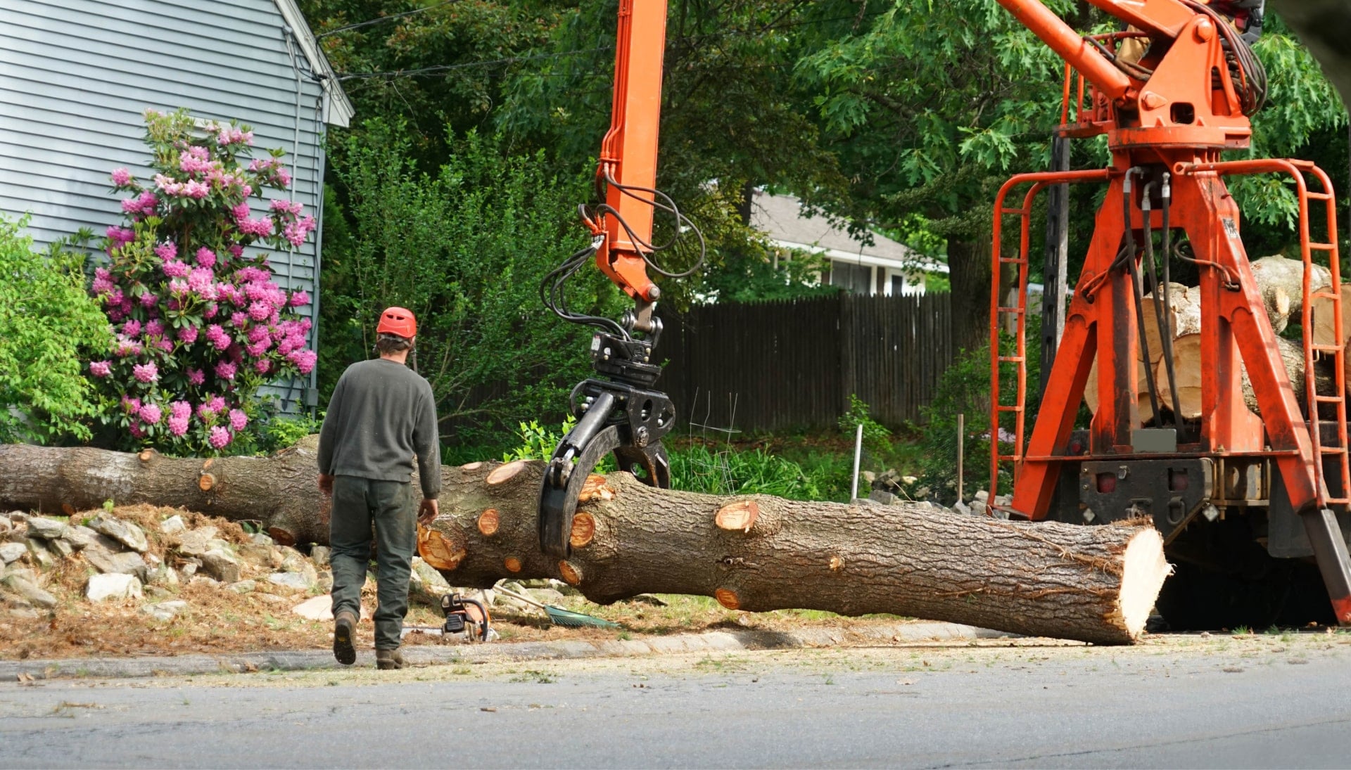 Local partner for Tree removal services in Dover